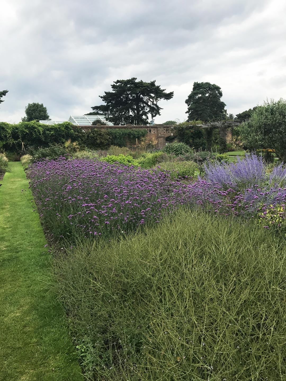 Herbaceous. Garden Flowers  