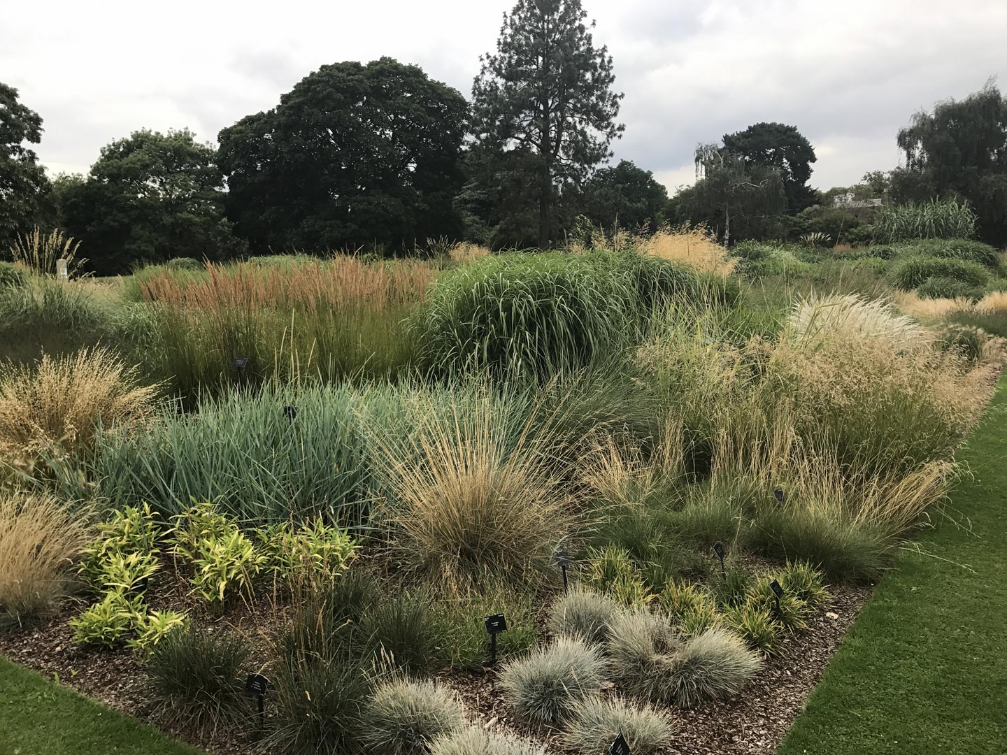  Herbaceous. Garden Flowers 