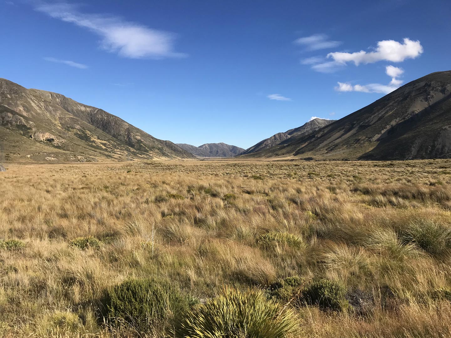  Landscapes. Garden. Garden Maintenance  